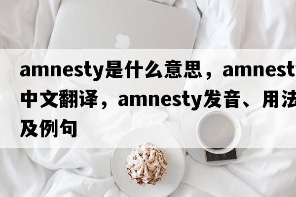 amnesty是什么意思，amnesty中文翻譯，amnesty發(fā)音、用法及例句