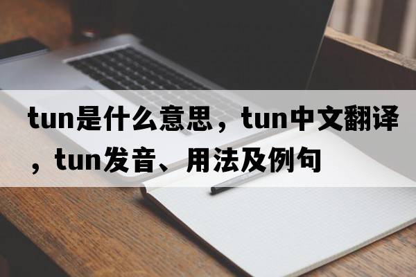 tun是什么意思，tun中文翻譯，tun發(fā)音、用法及例句