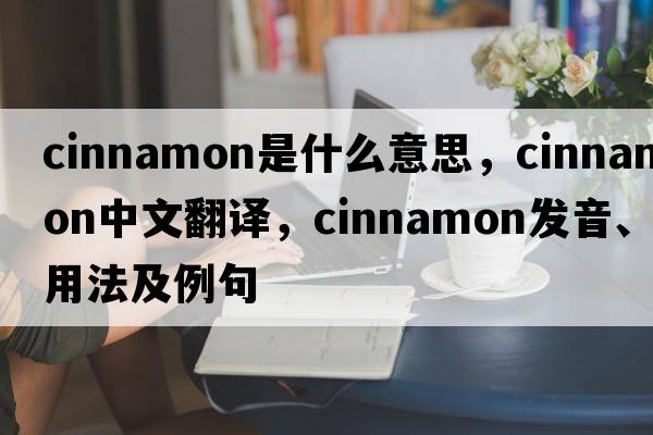 cinnamon是什么意思，cinnamon中文翻譯，cinnamon發(fā)音、用法及例句