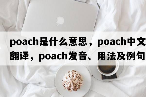 poach是什么意思，poach中文翻譯，poach發(fā)音、用法及例句