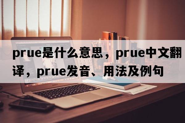 Prue是什么意思，Prue中文翻譯，Prue發(fā)音、用法及例句