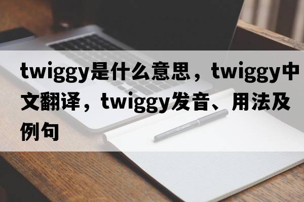twiggy是什么意思，twiggy中文翻譯，twiggy發(fā)音、用法及例句