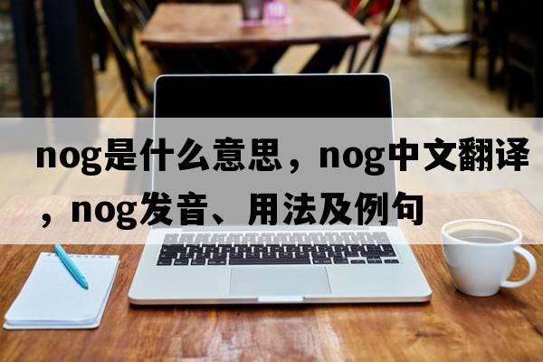 nog是什么意思，nog中文翻譯，nog發(fā)音、用法及例句