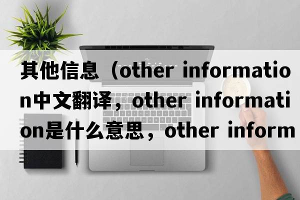 其他信息（other information中文翻譯，other information是什么意思，other information發(fā)音、用法及例句）