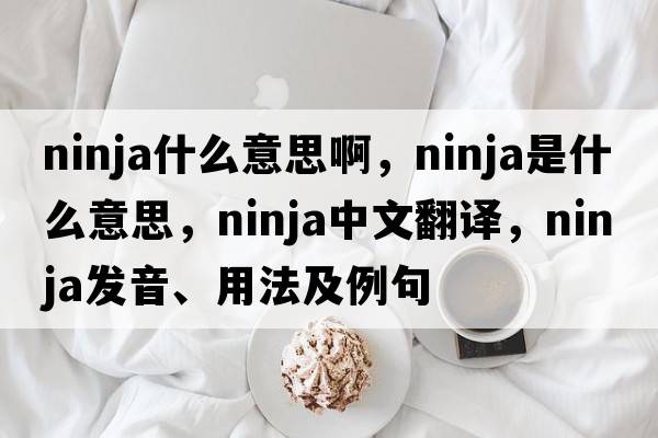 ninja什么意思啊，ninja是什么意思，ninja中文翻譯，ninja發(fā)音、用法及例句