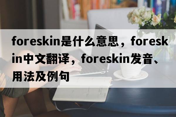 foreskin是什么意思，foreskin中文翻譯，foreskin發(fā)音、用法及例句