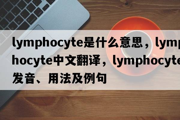 lymphocyte是什么意思，lymphocyte中文翻譯，lymphocyte發(fā)音、用法及例句