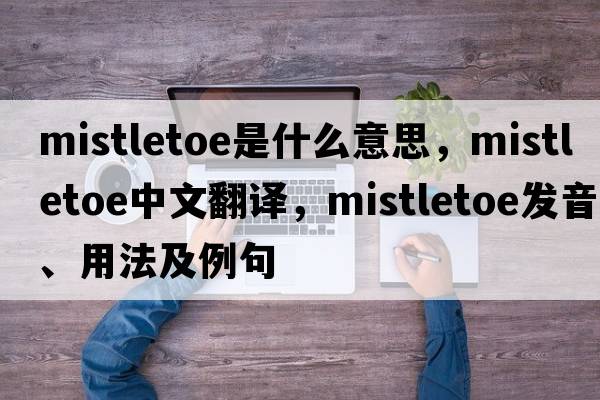 mistletoe是什么意思，mistletoe中文翻譯，mistletoe發(fā)音、用法及例句