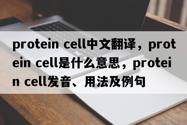 protein cell中文翻譯，protein cell是什么意思，protein cell發(fā)音、用法及例句