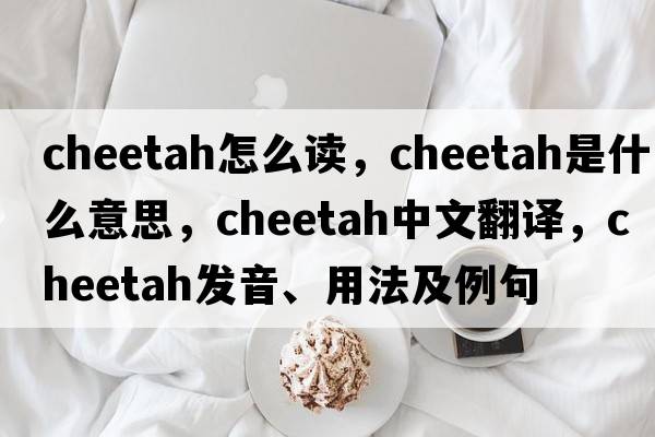 cheetah怎么讀，cheetah是什么意思，cheetah中文翻譯，cheetah發(fā)音、用法及例句