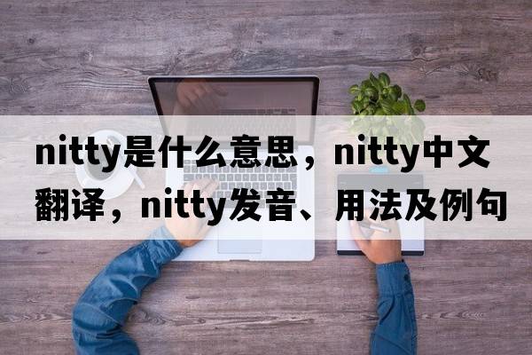 nitty是什么意思，nitty中文翻譯，nitty發(fā)音、用法及例句