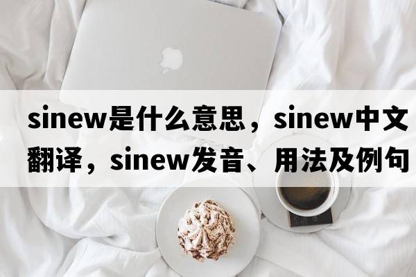 sinew是什么意思，sinew中文翻譯，sinew發(fā)音、用法及例句