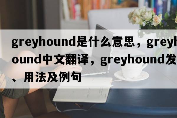 greyhound是什么意思，greyhound中文翻譯，greyhound發(fā)音、用法及例句