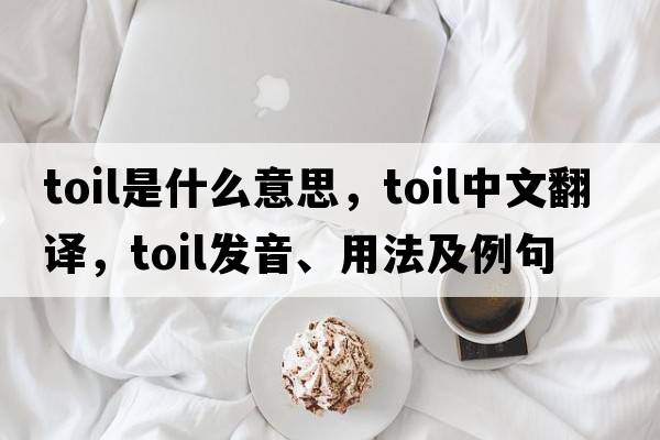 toil是什么意思，toil中文翻譯，toil發(fā)音、用法及例句