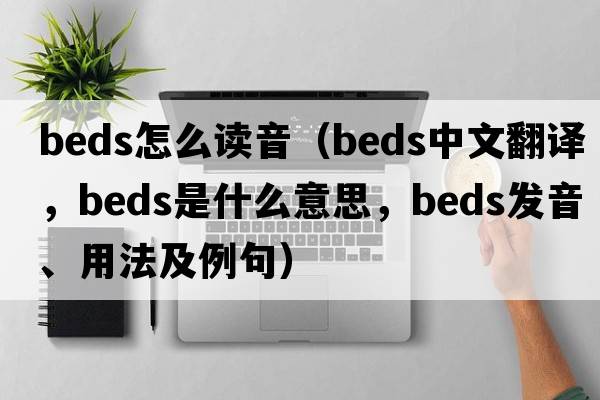beds怎么讀音（beds中文翻譯，beds是什么意思，beds發(fā)音、用法及例句）