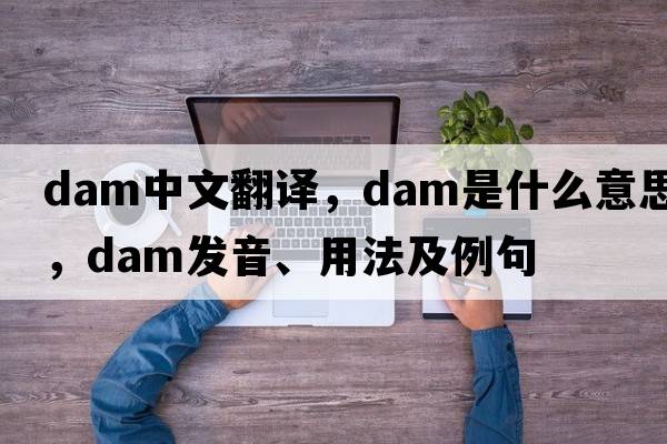 dam中文翻譯，dam是什么意思，dam發(fā)音、用法及例句