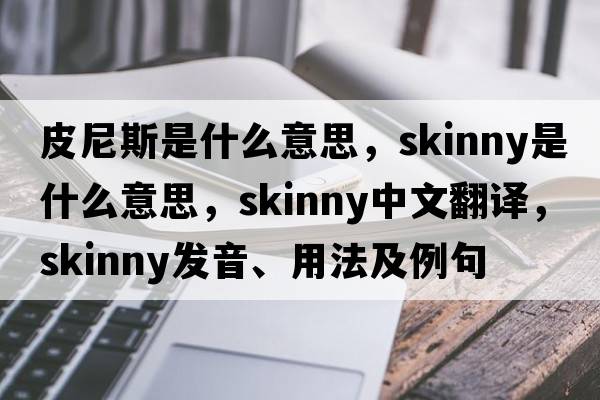皮尼斯是什么意思，skinny是什么意思，skinny中文翻譯，skinny發(fā)音、用法及例句