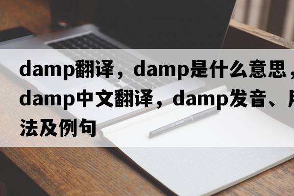 damp翻譯，damp是什么意思，damp中文翻譯，damp發(fā)音、用法及例句