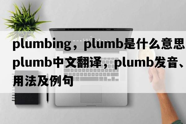 plumbing，plumb是什么意思，plumb中文翻譯，plumb發(fā)音、用法及例句