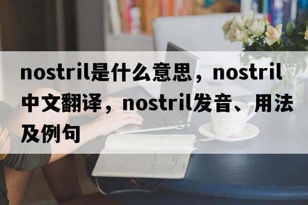 nostril是什么意思，nostril中文翻譯，nostril發(fā)音、用法及例句