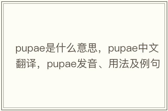 pupae是什么意思，pupae中文翻譯，pupae發(fā)音、用法及例句