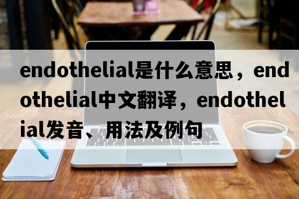 endothelial是什么意思，endothelial中文翻譯，endothelial發(fā)音、用法及例句