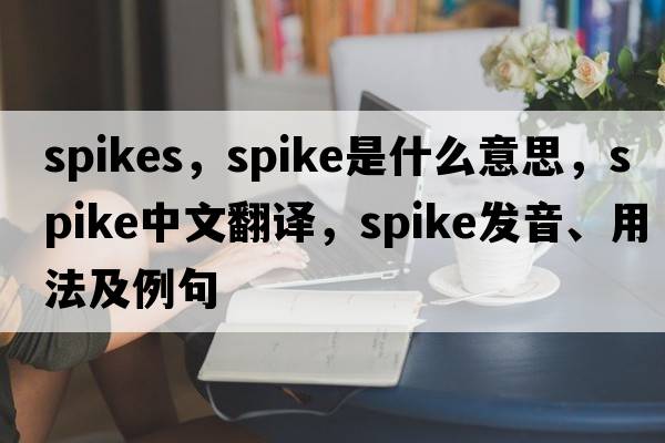 spikes，spike是什么意思，spike中文翻譯，spike發(fā)音、用法及例句
