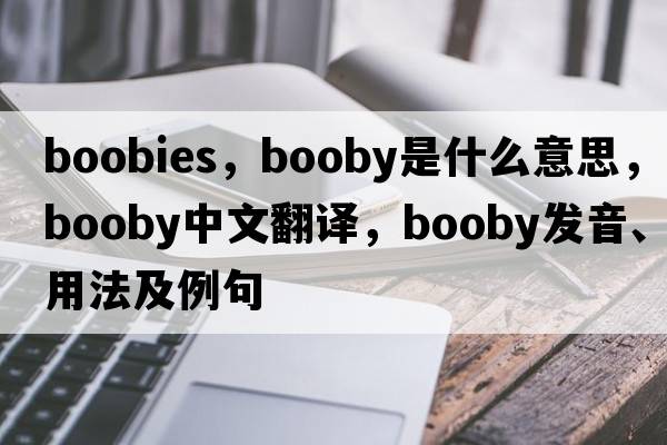 boobies，booby是什么意思，booby中文翻譯，booby發(fā)音、用法及例句