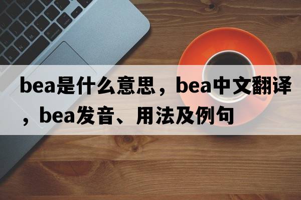 bea是什么意思，bea中文翻譯，bea發(fā)音、用法及例句