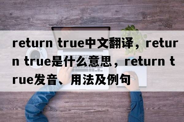 return true中文翻譯，return true是什么意思，return true發(fā)音、用法及例句