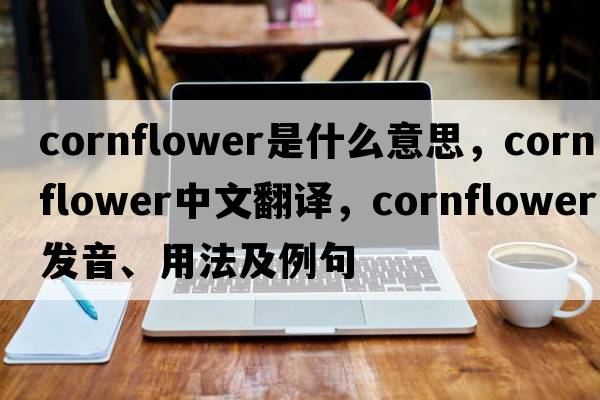 cornflower是什么意思，cornflower中文翻譯，cornflower發(fā)音、用法及例句