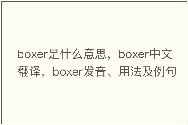 boxer是什么意思，boxer中文翻譯，boxer發(fā)音、用法及例句