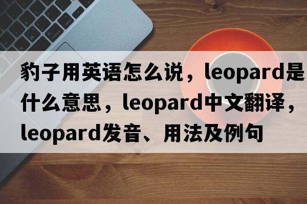 豹子用英語(yǔ)怎么說(shuō)，leopard是什么意思，leopard中文翻譯，leopard發(fā)音、用法及例句