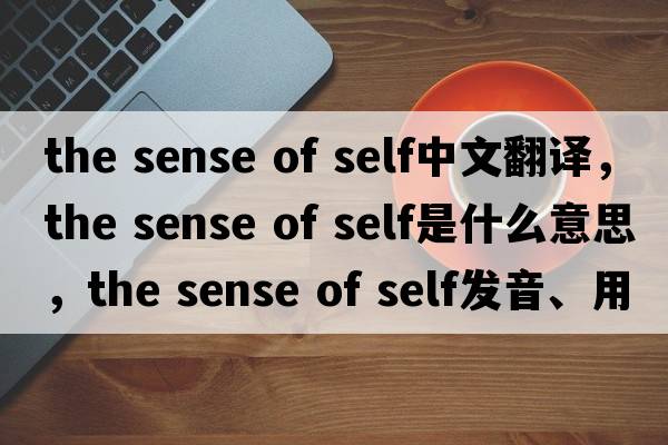 the sense of self中文翻譯，the sense of self是什么意思，the sense of self發(fā)音、用法及例句