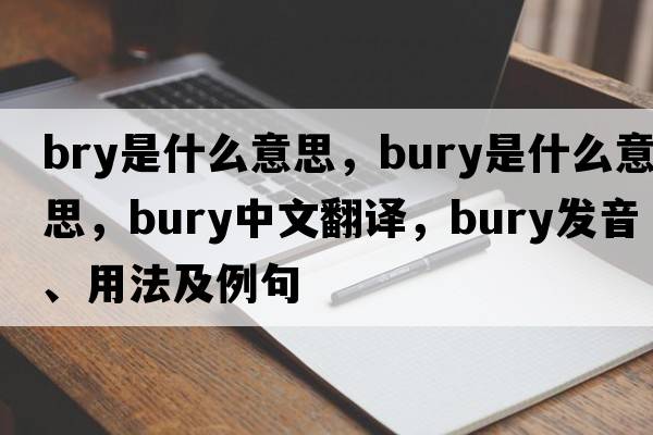 bry是什么意思，bury是什么意思，bury中文翻譯，bury發(fā)音、用法及例句