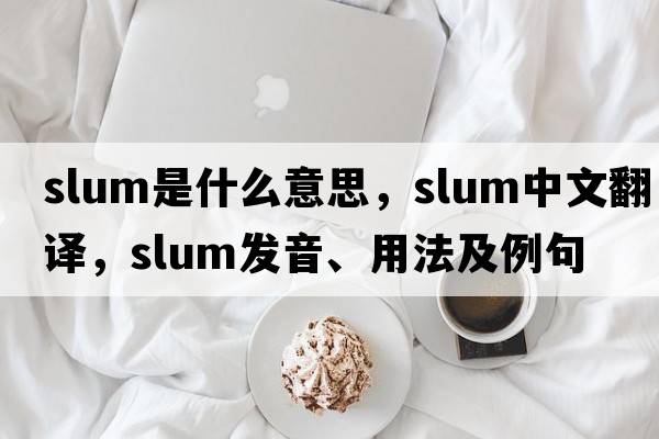 slum是什么意思，slum中文翻譯，slum發(fā)音、用法及例句