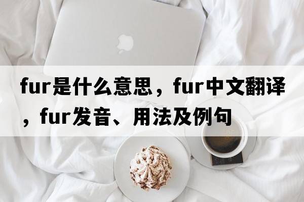 fur是什么意思，fur中文翻譯，fur發(fā)音、用法及例句
