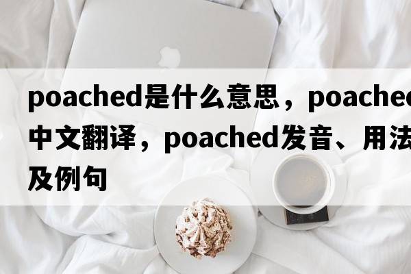 poached是什么意思，poached中文翻譯，poached發(fā)音、用法及例句