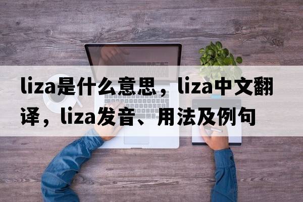 LIZA是什么意思，LIZA中文翻譯，LIZA發(fā)音、用法及例句