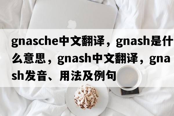 gnasche中文翻譯，gnash是什么意思，gnash中文翻譯，gnash發(fā)音、用法及例句