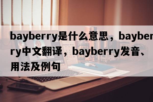 bayberry是什么意思，bayberry中文翻譯，bayberry發(fā)音、用法及例句
