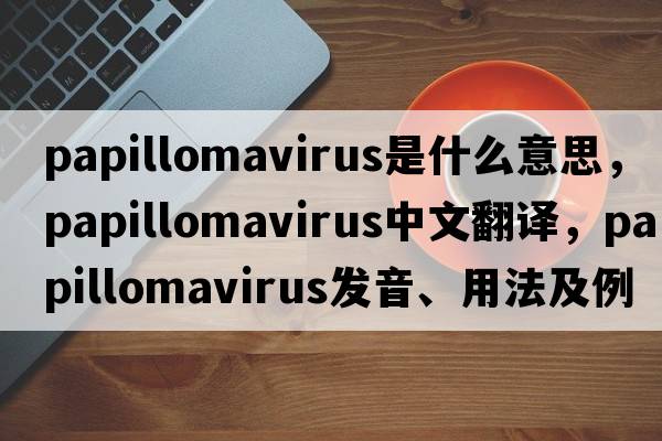 papillomavirus是什么意思，papillomavirus中文翻譯，papillomavirus發(fā)音、用法及例句