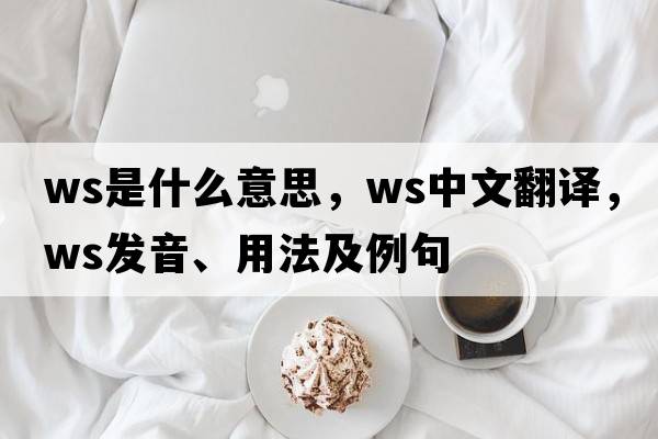 WS是什么意思，WS中文翻譯，WS發(fā)音、用法及例句