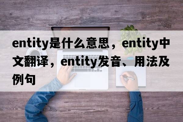 entity是什么意思，entity中文翻譯，entity發(fā)音、用法及例句