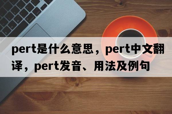 pert是什么意思，pert中文翻譯，pert發(fā)音、用法及例句