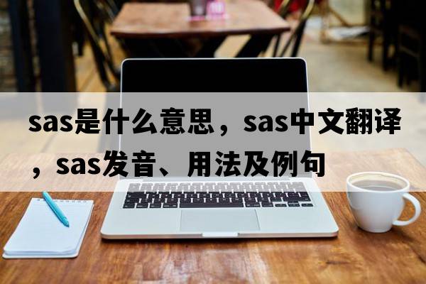 SAS是什么意思，SAS中文翻譯，SAS發(fā)音、用法及例句