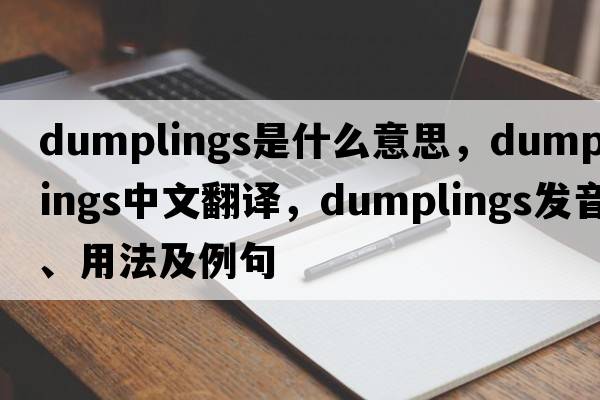dumplings是什么意思，dumplings中文翻譯，dumplings發(fā)音、用法及例句