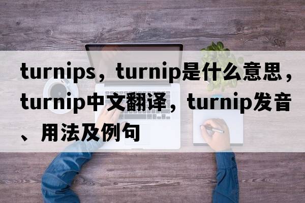 turnips，turnip是什么意思，turnip中文翻譯，turnip發(fā)音、用法及例句