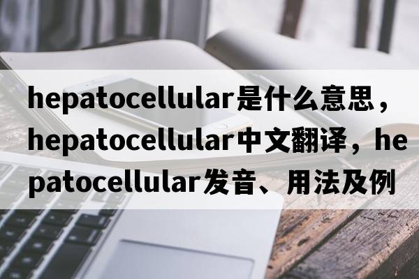 hepatocellular是什么意思，hepatocellular中文翻譯，hepatocellular發(fā)音、用法及例句