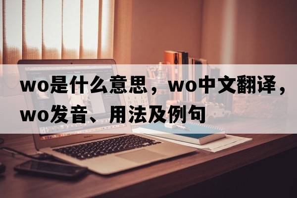 wo是什么意思，wo中文翻譯，wo發(fā)音、用法及例句